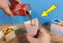 Photo of Топ-5 видов бумаги для пастельных мелков