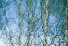 Photo of Как выбрать идеальную бумагу для акварели