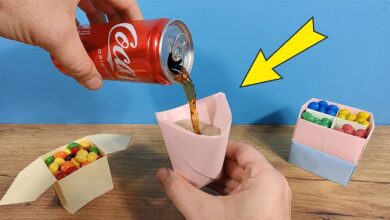 Photo of Топ-5 видов бумаги для пастельных мелков