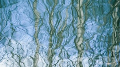 Photo of Как выбрать идеальную бумагу для акварели